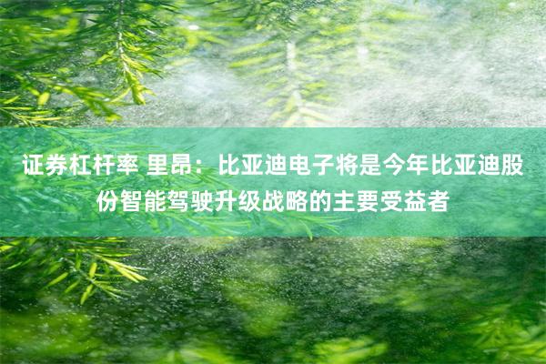 证券杠杆率 里昂：比亚迪电子将是今年比亚迪股份智能驾驶升级战略的主要受益者