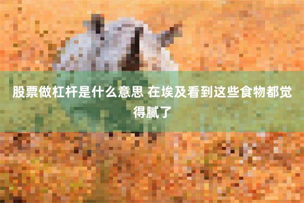 股票做杠杆是什么意思 在埃及看到这些食物都觉得腻了