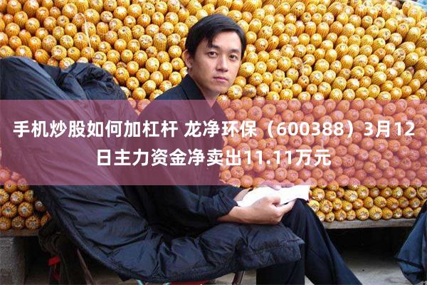 手机炒股如何加杠杆 龙净环保（600388）3月12日主力资金净卖出11.11万元