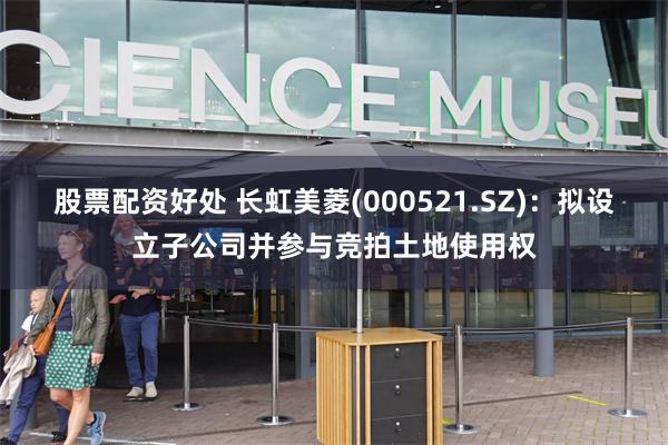 股票配资好处 长虹美菱(000521.SZ)：拟设立子公司并参与竞拍土地使用权