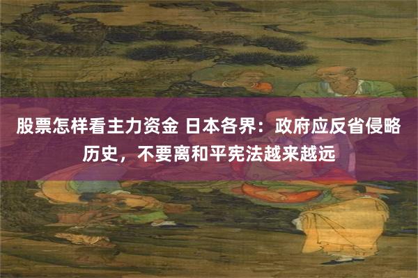 股票怎样看主力资金 日本各界：政府应反省侵略历史，不要离和平宪法越来越远