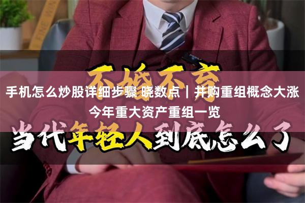 手机怎么炒股详细步骤 晓数点｜并购重组概念大涨 今年重大资产重组一览