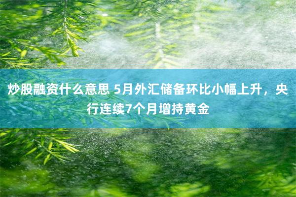 炒股融资什么意思 5月外汇储备环比小幅上升，央行连续7个月增持黄金