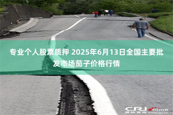 专业个人股票质押 2025年6月13日全国主要批发市场茄子价格行情