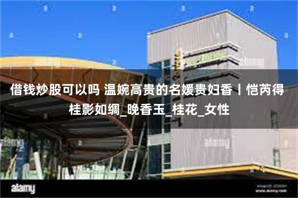 借钱炒股可以吗 温婉高贵的名媛贵妇香丨恺芮得 桂影如绸_晚香玉_桂花_女性