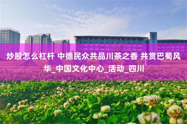 炒股怎么杠杆 中德民众共品川茶之香 共赏巴蜀风华_中国文化中心_活动_四川