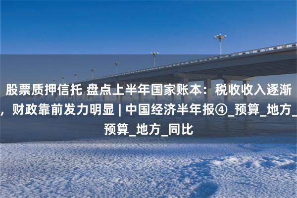 股票质押信托 盘点上半年国家账本：税收收入逐渐回升，财政靠前发力明显 | 中国经济半年报④_预算_地方_同比