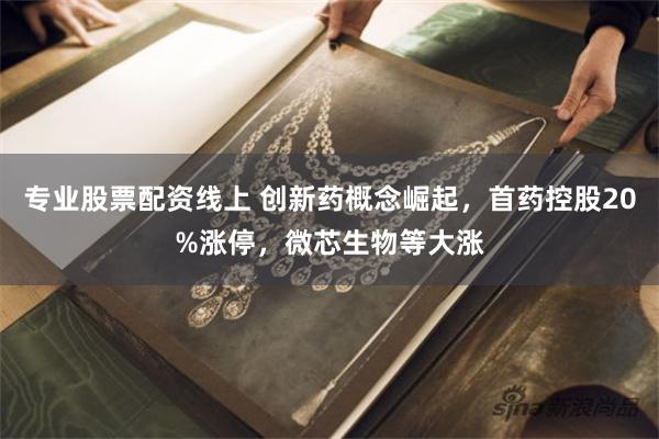 专业股票配资线上 创新药概念崛起，首药控股20%涨停，微芯生物等大涨