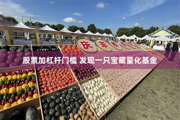 股票加杠杆门槛 发现一只宝藏量化基金
