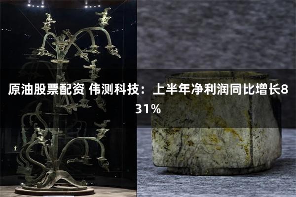 原油股票配资 伟测科技：上半年净利润同比增长831%