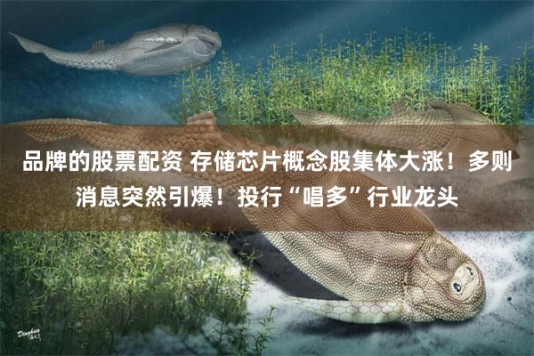 品牌的股票配资 存储芯片概念股集体大涨！多则消息突然引爆！投行“唱多”行业龙头