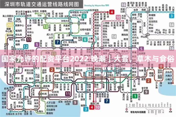 国家允许的配资平台2022 晚潮｜大雪，草木与食俗
