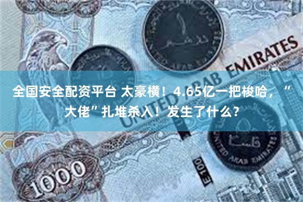 全国安全配资平台 太豪横!4.65亿一把梭哈,“大佬”扎堆杀入!发生了什么?