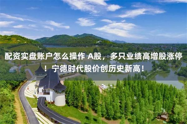 配资实盘账户怎么操作 A股，多只业绩高增股涨停！宁德时代股价创历史新高！