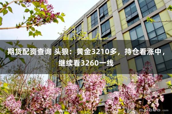 期货配资查询 头狼：黄金3210多，持仓看涨中，继续看3260一线