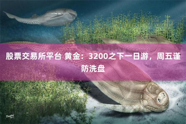 股票交易所平台 黄金：3200之下一日游，周五谨防洗盘