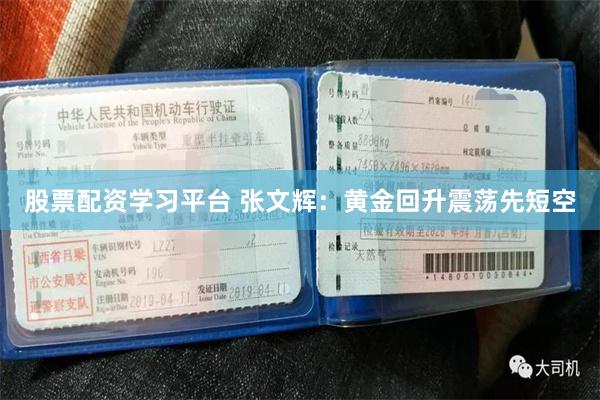 股票配资学习平台 张文辉：黄金回升震荡先短空
