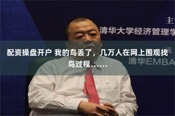 配资操盘开户 我的鸟丢了,几万人在网上围观找鸟过程……