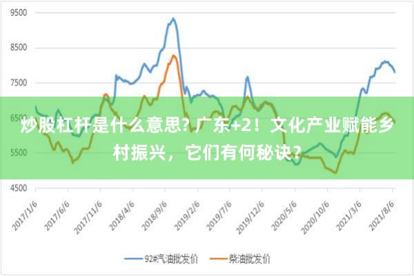 炒股杠杆是什么意思? 广东+2！文化产业赋能乡村振兴，它们有何秘诀？