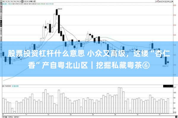股票投资杠杆什么意思 小众又高级,这缕“杏仁香”产自粤北山区|挖掘私藏粤茶⑥