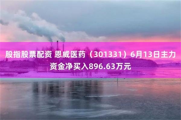 股指股票配资 恩威医药（301331）6月13日主力资金净买入896.63万元