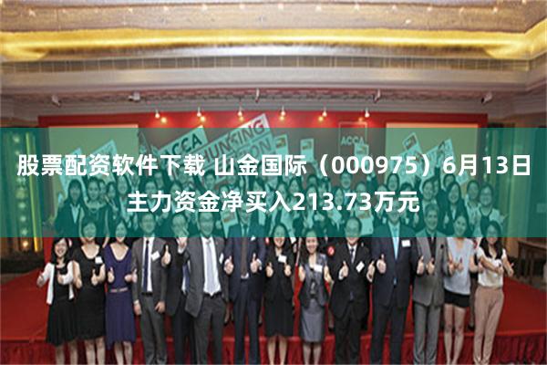 股票配资软件下载 山金国际(000975)6月13日主力资金净买入213.73万元
