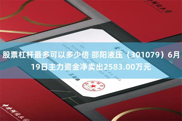股票杠杆最多可以多少倍 邵阳液压（301079）6月19日主力资金净卖出2583.00万元