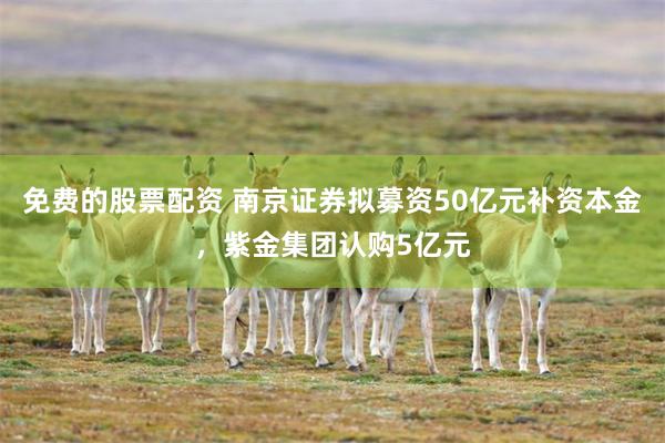 免费的股票配资 南京证券拟募资50亿元补资本金,紫金集团认购5亿元