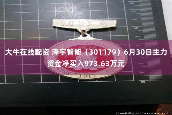 大牛在线配资 泽宇智能（301179）6月30日主力资金净买入973.63万元