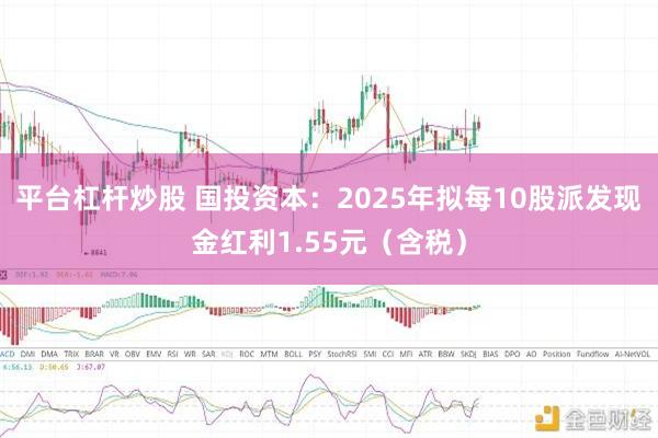 平台杠杆炒股 国投资本：2025年拟每10股派发现金红利1.55元（含税）