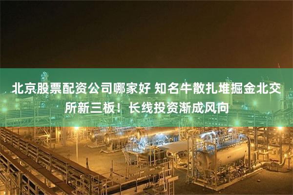 北京股票配资公司哪家好 知名牛散扎堆掘金北交所新三板！长线投资渐成风向