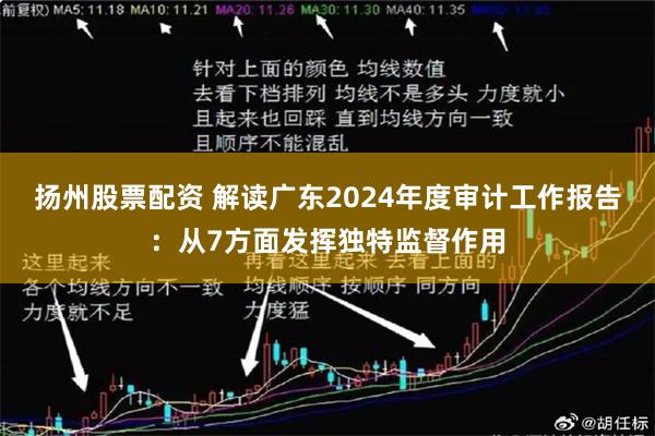 扬州股票配资 解读广东2024年度审计工作报告：从7方面发挥独特监督作用