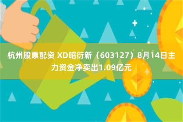 杭州股票配资 XD昭衍新（603127）8月14日主力资金净卖出1.09亿元