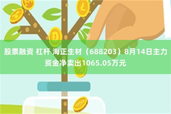 股票融资 杠杆 海正生材(688203)8月14日主力资金净卖出1065.05万元