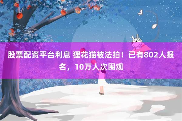 股票配资平台利息 狸花猫被法拍！已有802人报名，10万人次围观