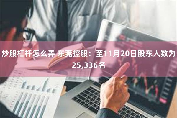 炒股杠杆怎么弄 东莞控股：至11月20日股东人数为25,336名