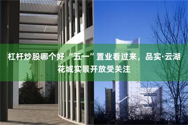 杠杆炒股哪个好 “五一”置业看过来，品实·云湖花城实景开放受关注