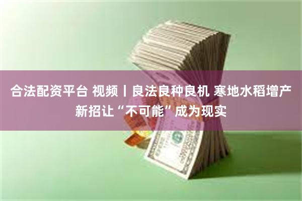 合法配资平台 视频丨良法良种良机 寒地水稻增产新招让“不可能”成为现实