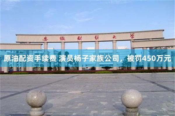 原油配资手续费 演员杨子家族公司，被罚450万元