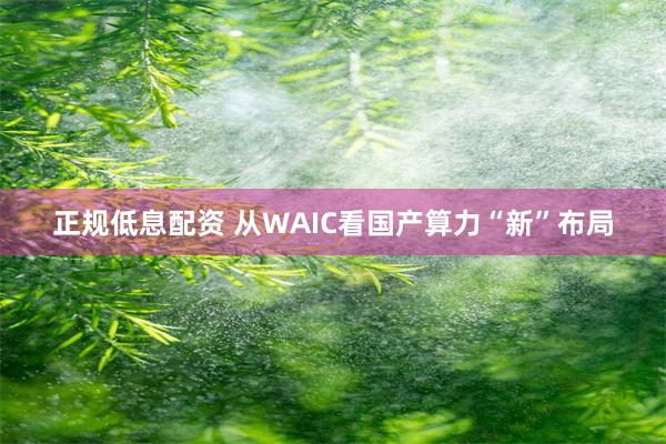 正规低息配资 从WAIC看国产算力“新”布局