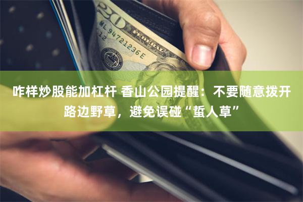 咋样炒股能加杠杆 香山公园提醒：不要随意拨开路边野草，避免误碰“蜇人草”