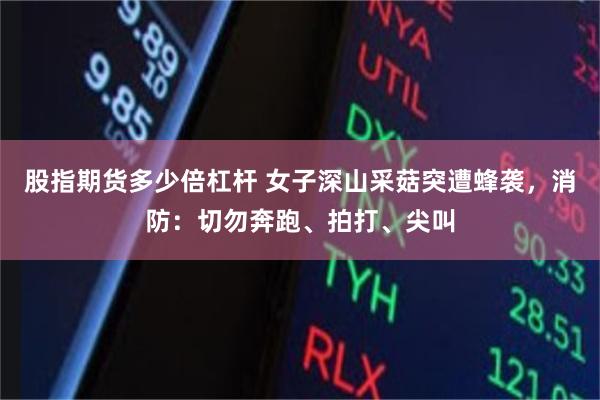 股指期货多少倍杠杆 女子深山采菇突遭蜂袭，消防：切勿奔跑、拍打、尖叫