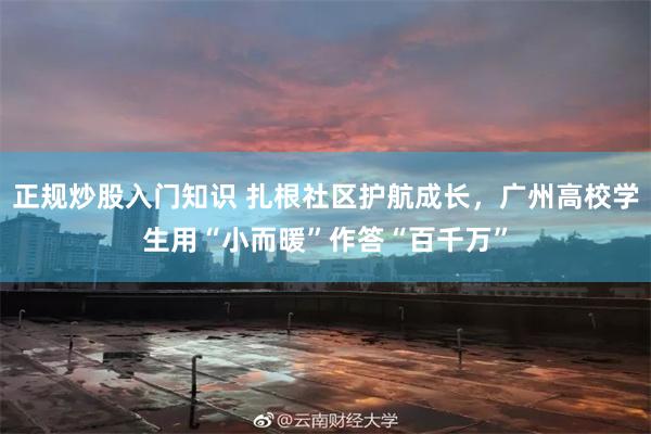 正规炒股入门知识 扎根社区护航成长,广州高校学生用“小而暖”作答“百千万”