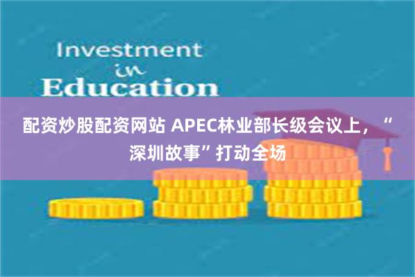 配资炒股配资网站 APEC林业部长级会议上，“深圳故事”打动全场
