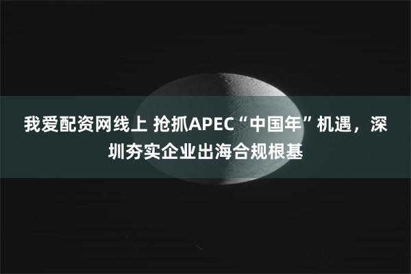 我爱配资网线上 抢抓APEC“中国年”机遇，深圳夯实企业出海合规根基