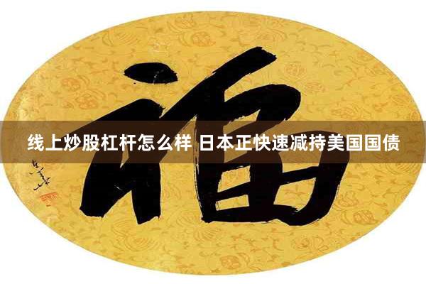 线上炒股杠杆怎么样 日本正快速减持美国国债