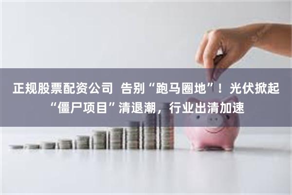 正规股票配资公司  告别“跑马圈地”！光伏掀起“僵尸项目”清退潮，行业出清加速