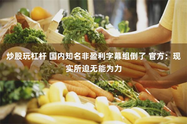炒股玩杠杆 国内知名非盈利字幕组倒了 官方:现实所迫无能为力