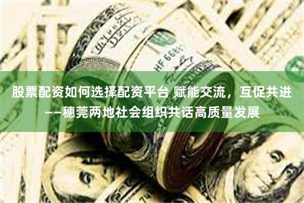 股票配资如何选择配资平台 赋能交流，互促共进——穗莞两地社会组织共话高质量发展