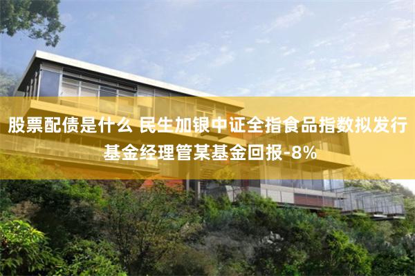 股票配债是什么 民生加银中证全指食品指数拟发行 基金经理管某基金回报-8%